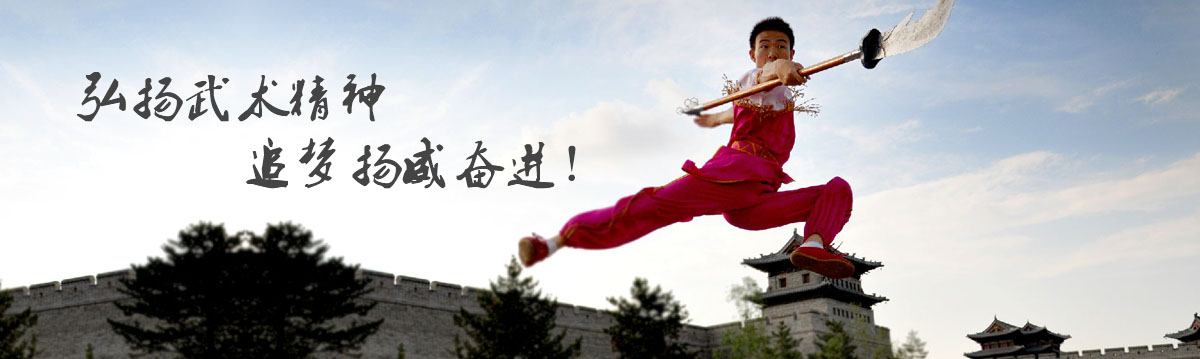 新乡市卫滨区武术协会（官网）